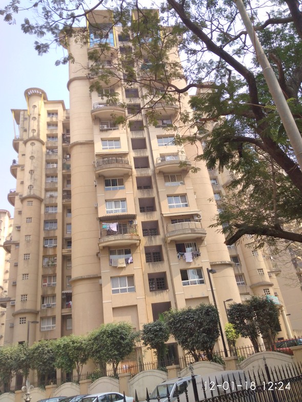 Main - Fiorello, Powai